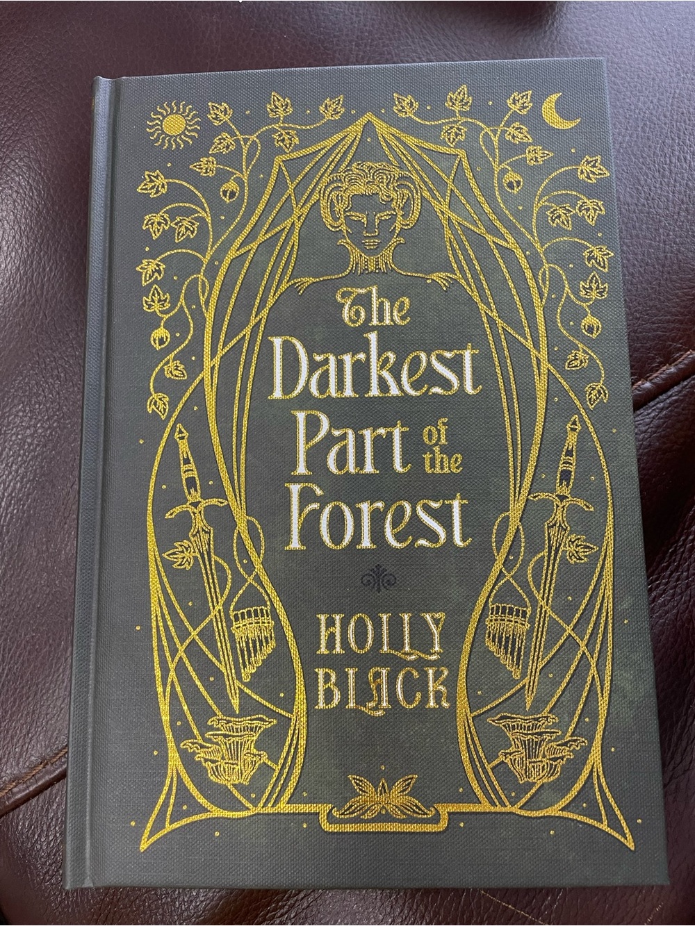 Litjoy The Darkest Part of the Forest by Holly Black